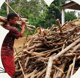 Un homme porte du bois coupé, devant de grandes piles de bois de chauffe