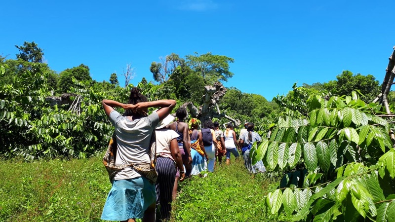 Des cueilleuses partent en file dans une plantation d'ylang-ylang à Nosy-Be