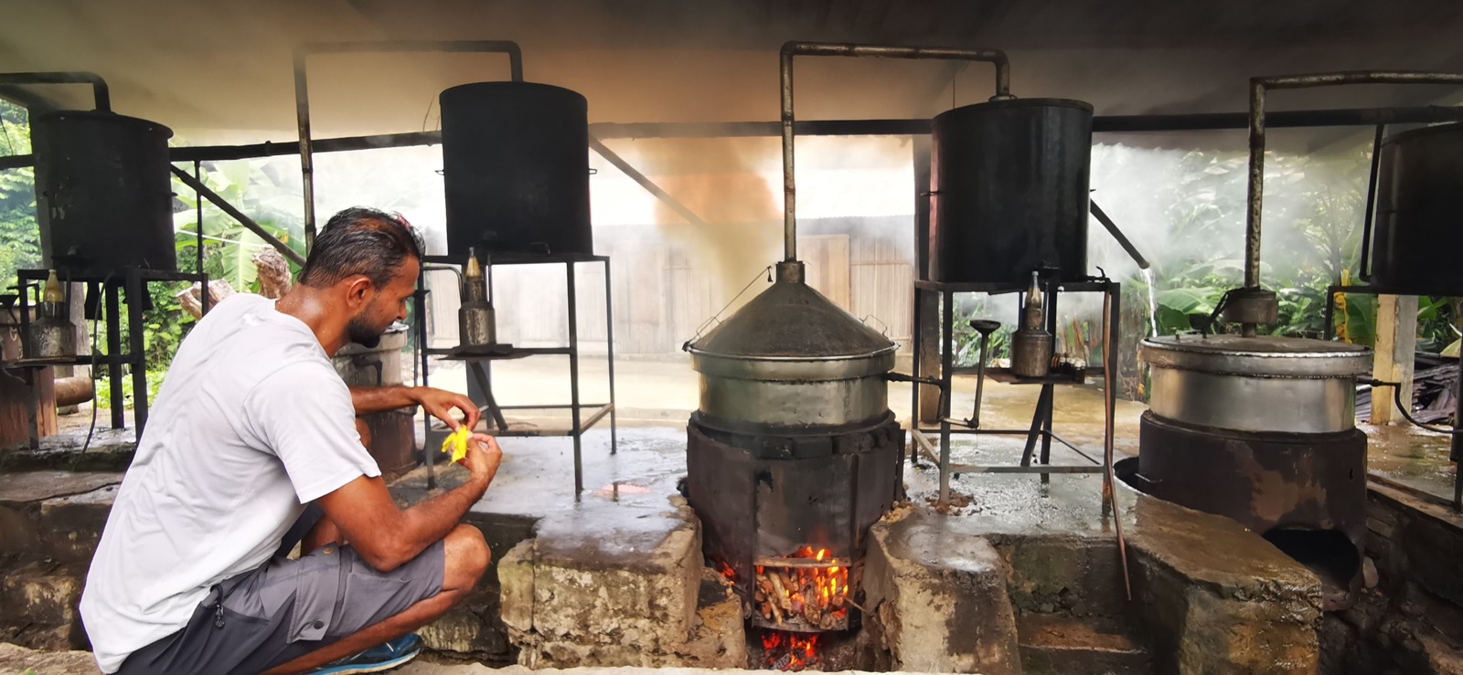 Distillation traditionnelle d'ylang-ylang à Mayotte : alambics chauffés au feu de bois