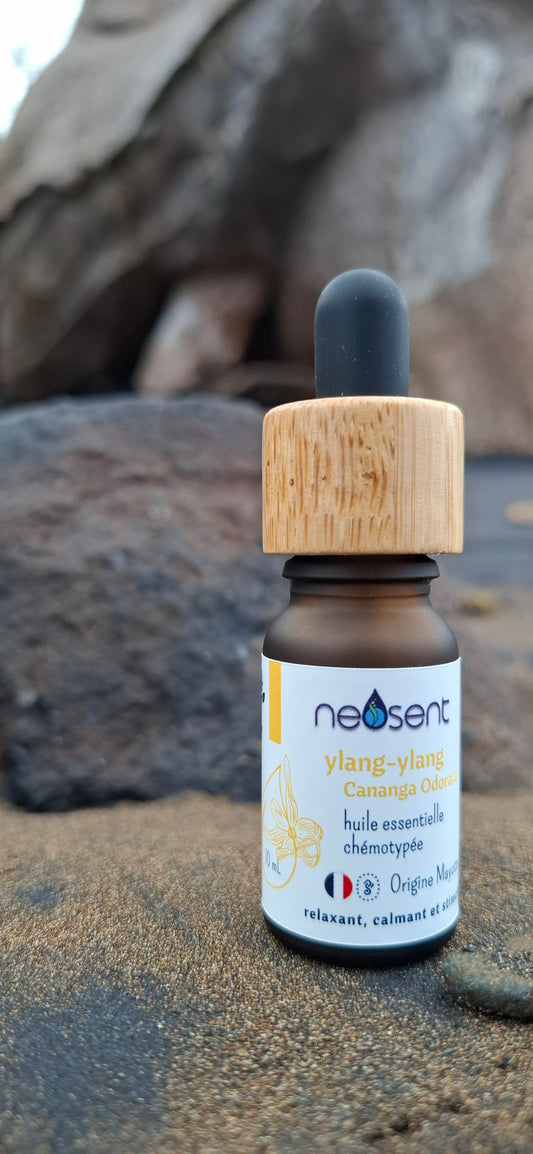 Huile essentielle d’ylang-ylang — complète supérieure | Mayotte | L’Authentique Mahoraise®